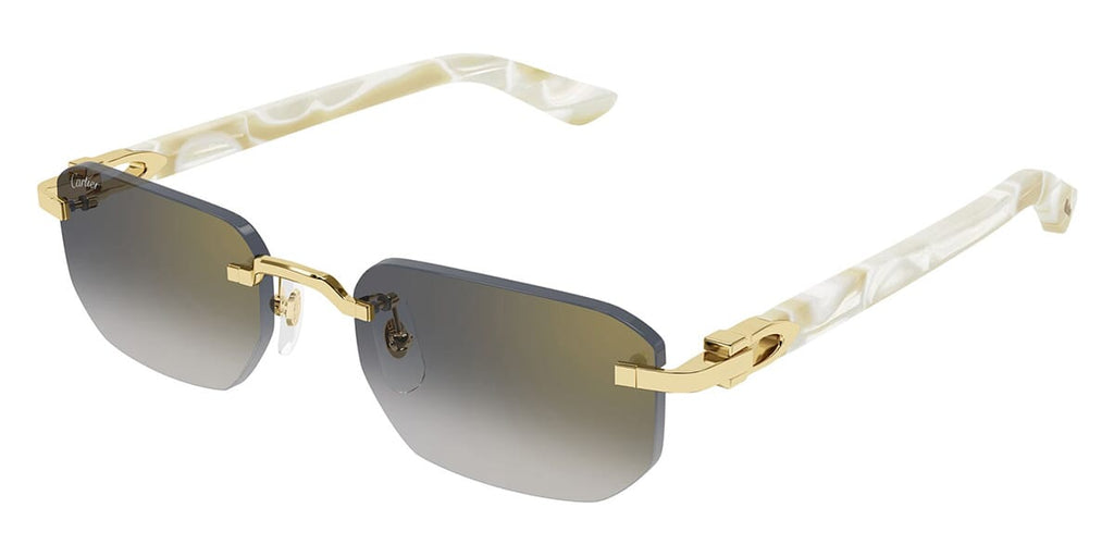 Cartier CT0622S Rectangle Sunglasses | Fashion Eyewear US