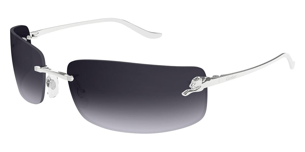 Cartier CT0503S#colour_silver-grey