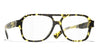 #colour_yellow-spotted-tortoise