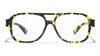 #colour_yellow-spotted-tortoise