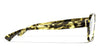 #colour_yellow-spotted-tortoise