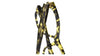 #colour_yellow-spotted-tortoise