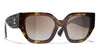 #colour_dark-havana-brown-gradient-polarised