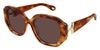 Chloe CH0236S #colour_havana/brown