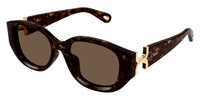 Chloe CH0237SK #colour_havana with gold/brown