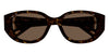 Chloe CH0237SK #colour_havana with gold/brown