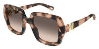 Chloe CH0301S #colour_havana/brown gradient
