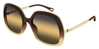 Chloe CH0327S #colour_shiny brown on gold/yellow gradient