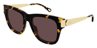 Chloe CH0349S #colour_havana and gold/brown
