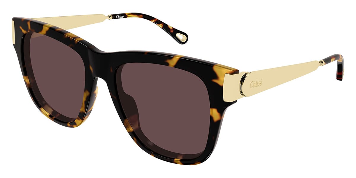 Chloe CH0349S Cat Eye Sunglasses | Fashion Eyewear US display picture 2