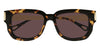 Chloe CH0351S #colour_havana and gold/brown