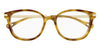 Chloe CH0359O #colour_havana and gold