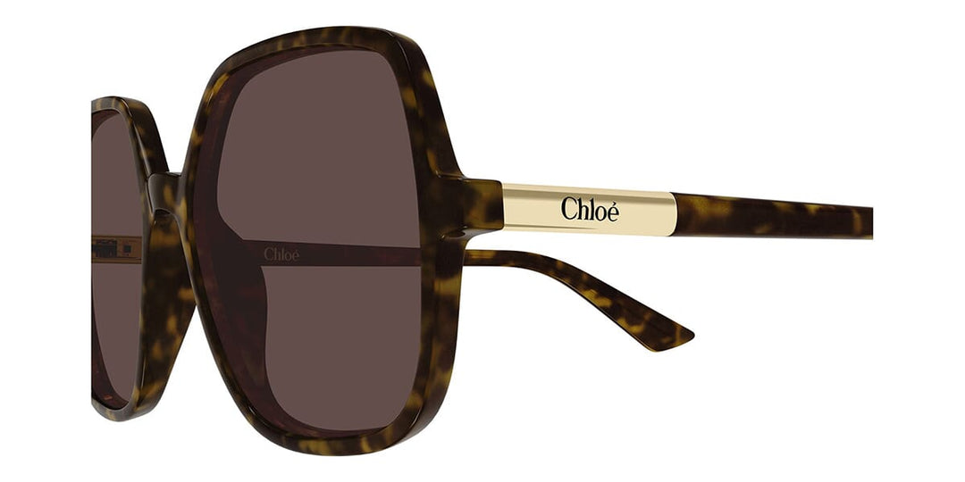 クロエ　サングラス Chloe CH0362S Square Sunglasses | Fashion Eyewear US