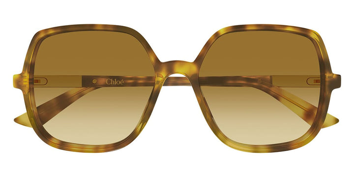 クロエ　サングラス Chloe CH0362S Square Sunglasses | Fashion Eyewear US