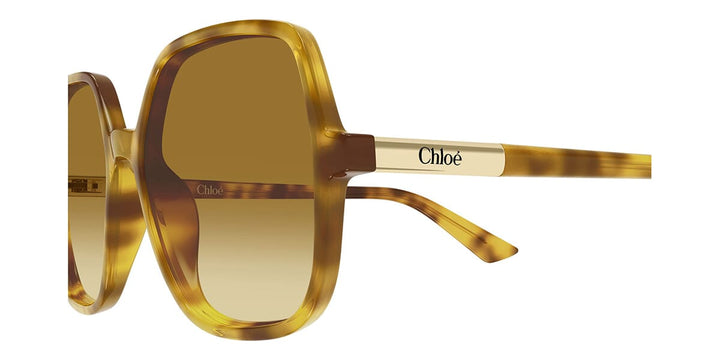Chloe CH0362S Square Sunglasses | Fashion Eyewear US