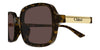 Chloe CH0363S#colour_havana-brown