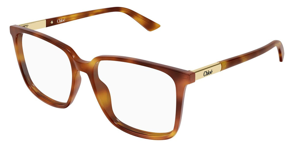 Chloe CH0369O #colour_havana