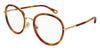 Chloe CH0374O #colour_gold and havana