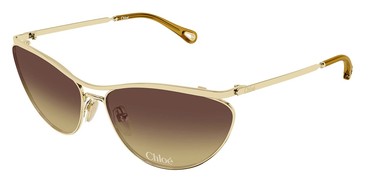 Chloe CH0386S Cat Eye Sunglasses | Fashion Eyewear US