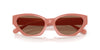 #colour_coral-brown-solid