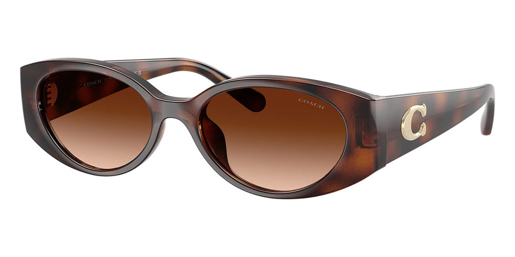 #colour_dark-tortoise-brown-gradient