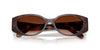 #colour_dark-tortoise-brown-gradient