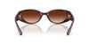 #colour_dark-tortoise-brown-gradient