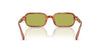 #colour_caramel-tortoise-pistachio-solid
