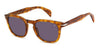 David Beckham DB1221-S#colour_brown-havana-violet