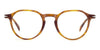 David Beckham DB1230#colour_brown-havana