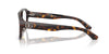 Dolce&Gabbana DG3415#colour_havana