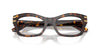 Dolce&Gabbana DG3420#colour_havana
