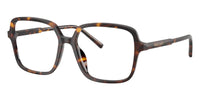 Dolce&Gabbana DG3442#colour_havana