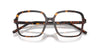 Dolce&Gabbana DG3442#colour_havana