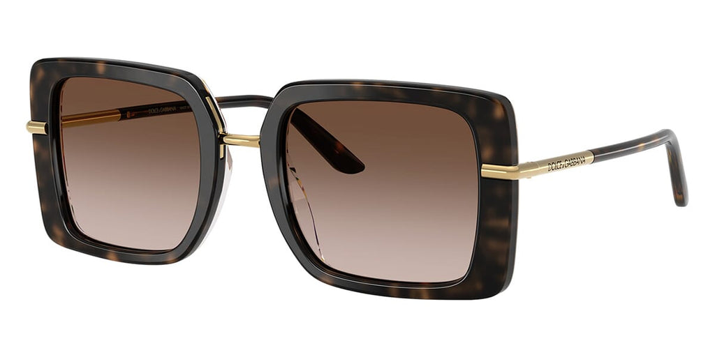 Dolce&Gabbana DG4491 #colour_havana on white barrow/brown gradient