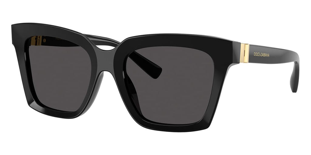 Dolce&Gabbana DG4498 #colour_black/dark grey