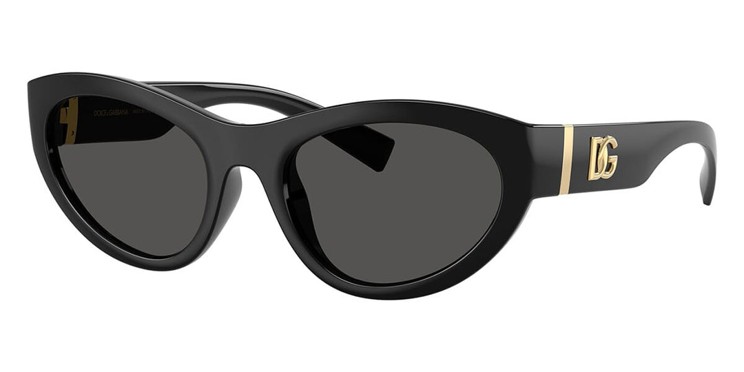 Dolce&Gabbana DG6207 Cat Eye Sunglasses | Fashion Eyewear