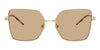#colour_shiny-pale-gold-dark-brown