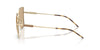 #colour_shiny-pale-gold-dark-brown