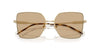 #colour_shiny-pale-gold-dark-brown