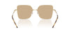 #colour_shiny-pale-gold-dark-brown