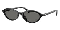 #colour_shiny-black-grey