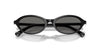 #colour_shiny-black-grey