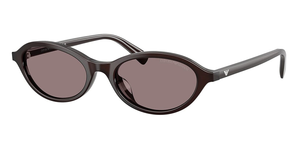 #colour_shiny-opal-brown-dark-purple