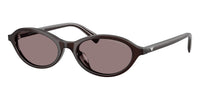 #colour_shiny-opal-brown-dark-purple