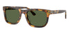 #colour_shiny-havana-brown-dark-green