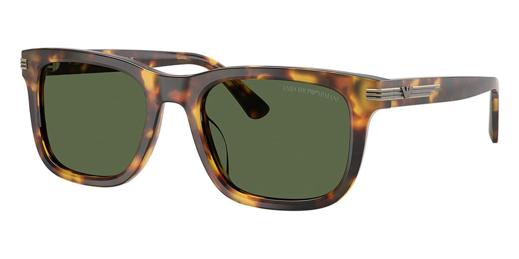 #colour_shiny-havana-brown-dark-green