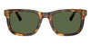#colour_shiny-havana-brown-dark-green