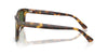 #colour_shiny-havana-brown-dark-green