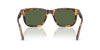 #colour_shiny-havana-brown-dark-green